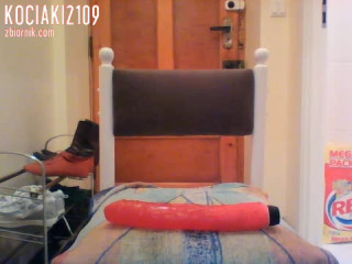 kociaki2109