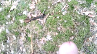 MOV_0111.mp4