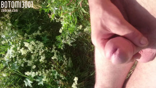 MOV_0223.mp4