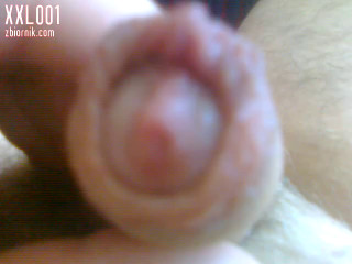 Xxl001