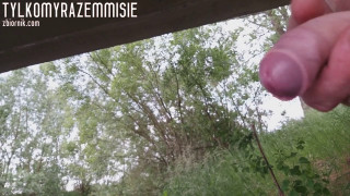 Tylkomyrazemmisie