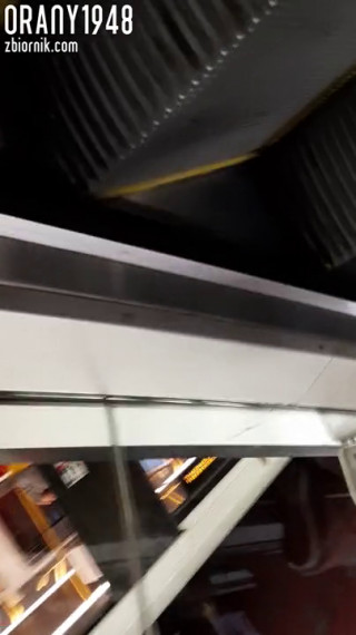 123445.mp4