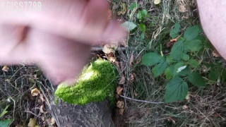 VID_20190805_161352.mp4
