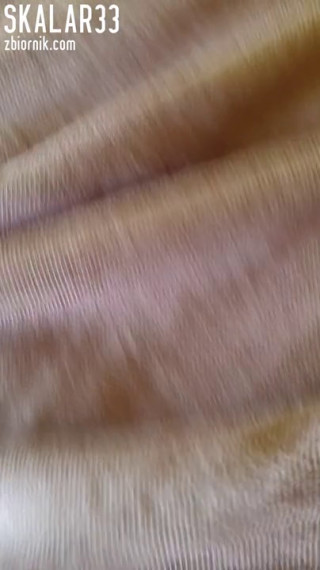 20191027_123520.mp4
