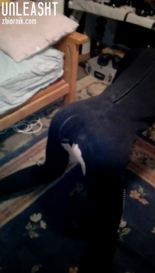 VID_20191127_201148.mp4