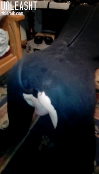 VID_20191127_201148.mp4