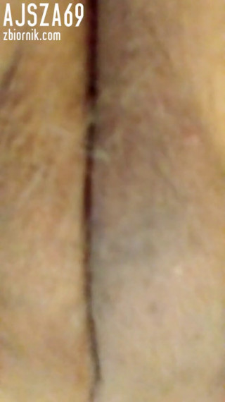 Cipulka
