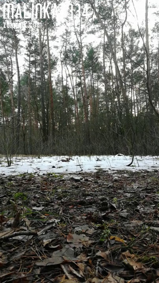 VID_20210122_134530.mp4