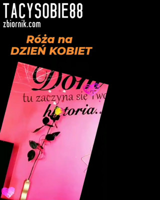 TacySobie88