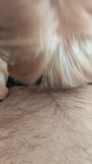 VID_20210430_155639.mp4