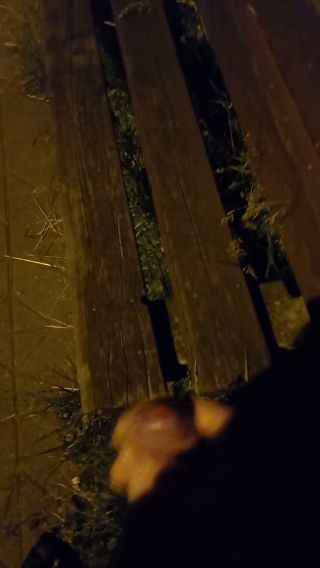 20210613_233407.mp4