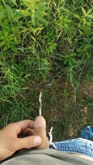 VID_20210630_181531.mp4