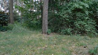 DSCN0126.MP4