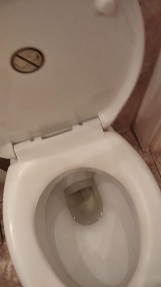 Siusianie