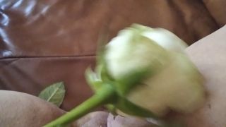 Smyranie cipki różą