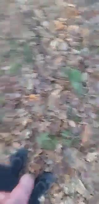 received_478699387168764.mp4