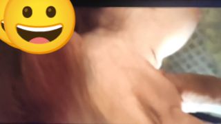 YouCut_20220523_232305631.mp4
