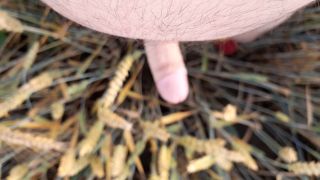 20220708_063848.mp4