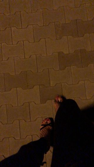 IMG_9900.MOV