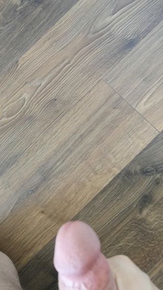 kotas12