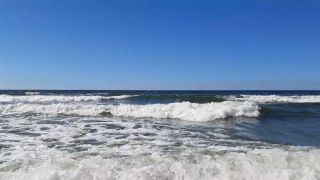 20220628_155037.mp4