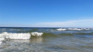 20220628_155037.mp4