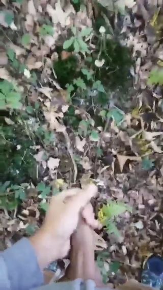 VID_21091129_114556_438.mp4