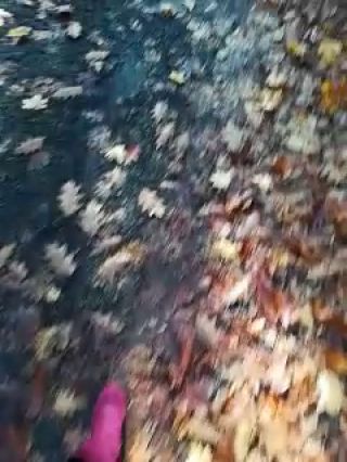 VID_20221028_111946.mp4
