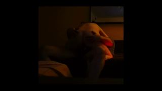 Nowy pr.mp4