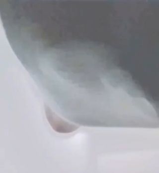 VID_20210722_234402~4.mp4