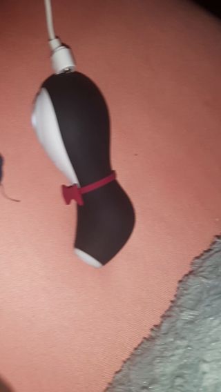 Dzień Pingwina