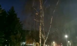 135030655932297.mp4