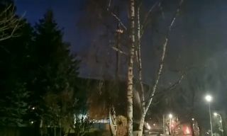 135030655932297.mp4