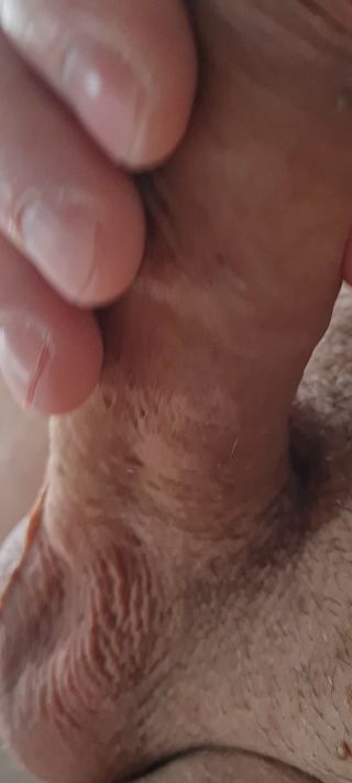 20230315_074400_1.mp4