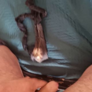 20230426_150556.mp4