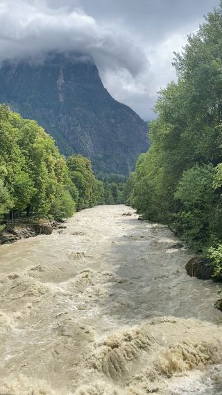 IMG_2239.mov