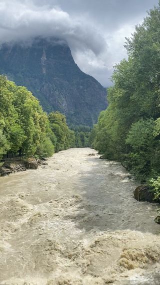 IMG_2239.mov