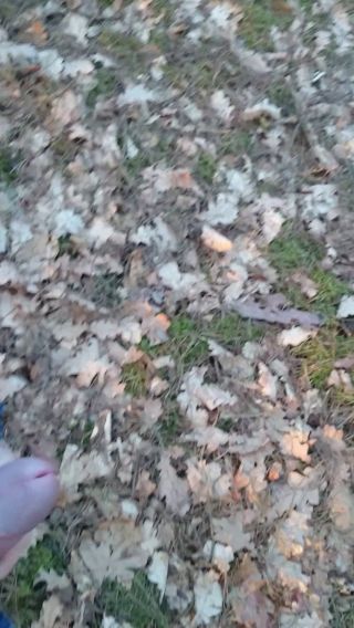 MOV_0134.mp4