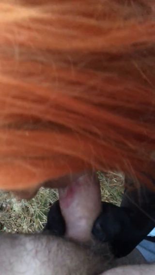 trim.35D3EECA-6B76-4262-A611-4C3B2A0CDC87.MOV