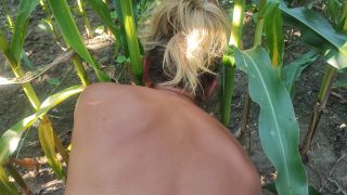 VID_20230815_171235.mp4