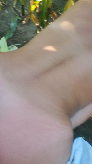 VID_20230815_171112.mp4