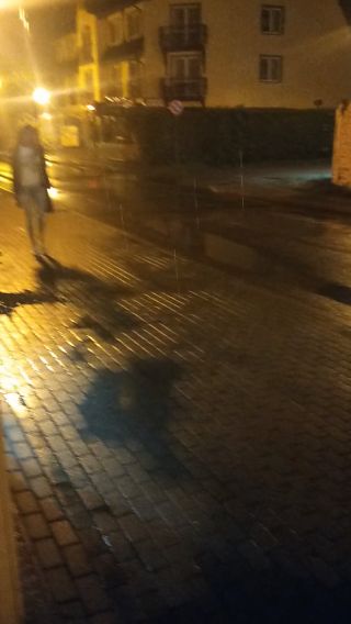 VID20230826021102.mp4