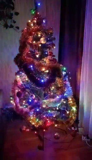 received_25276551948598858.mp4