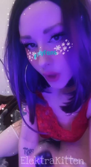 PrincessKitten