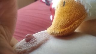 Moje cycusie