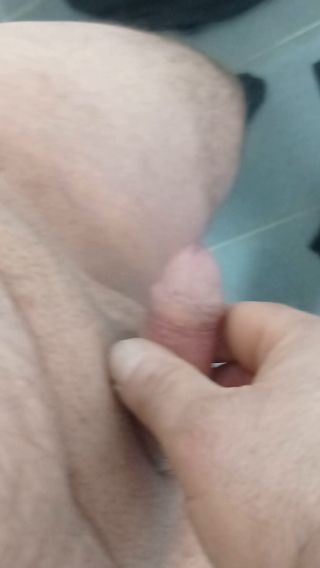 VID_20240226_134433.mp4