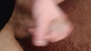 VID_20240315_094150.mp4