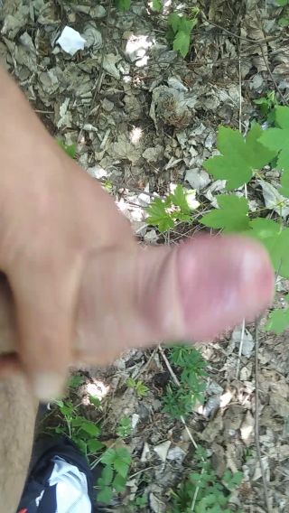 VID_20240504_121854.mp4