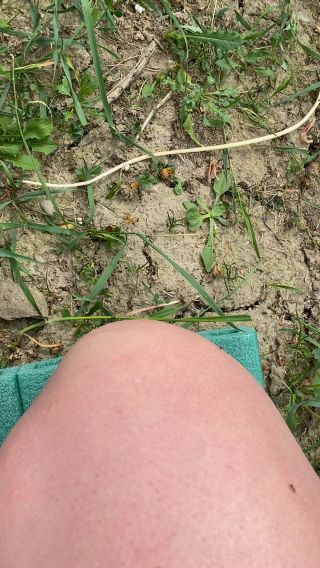 IMG_1421.mov