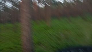 VID20240615201439.mp4